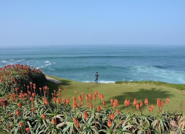 Photo scenic view of sea against clear sky