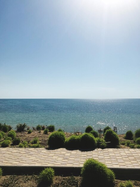 Scenic view of sea against clear sky