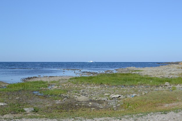 Scenic view of sea against clear sky