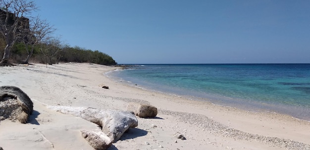 Foto vista panoramica del mare contro un cielo limpido