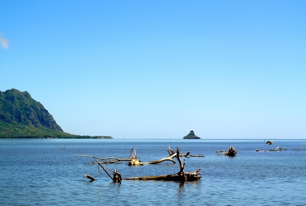 Photo scenic view of sea against clear sky