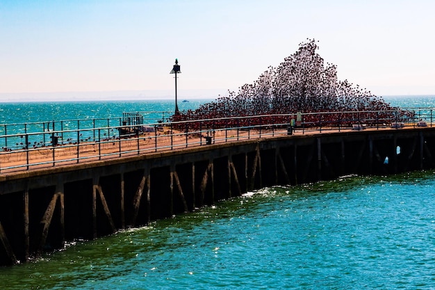 Foto vista panoramica del mare contro un cielo limpido