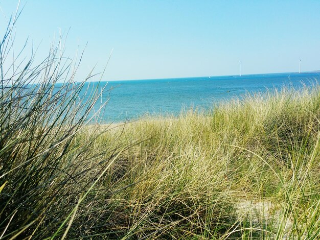 Foto vista panoramica del mare contro un cielo limpido