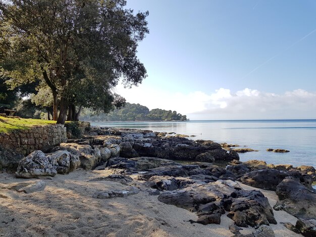 Scenic view of sea against clear sky