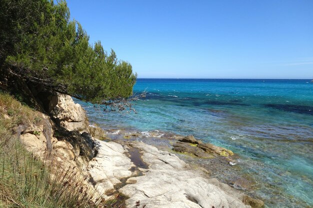 Scenic view of sea against clear sky