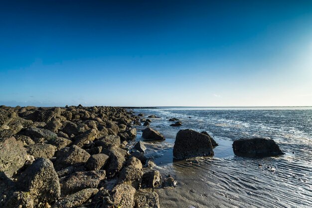 Scenic view of sea against clear sky