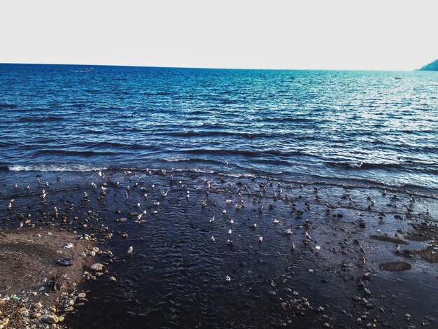 Photo scenic view of sea against clear sky