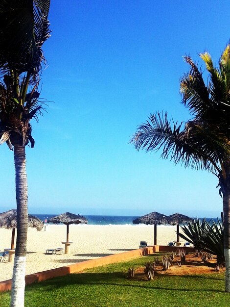 Scenic view of sea against clear sky