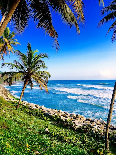 Scenic view of sea against clear sky