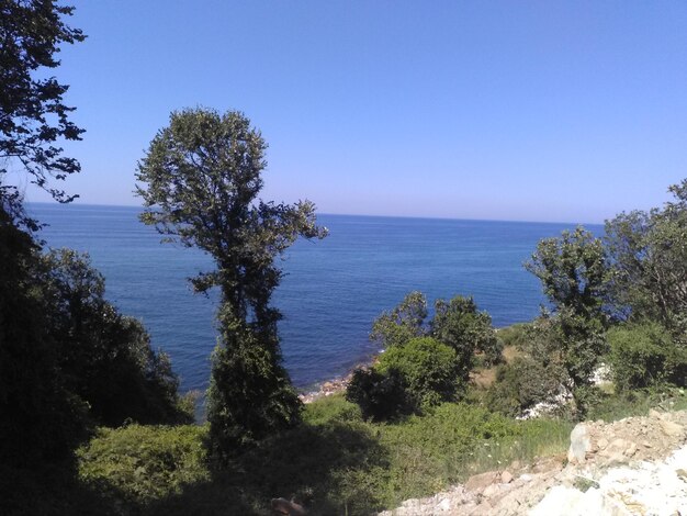 Scenic view of sea against clear sky