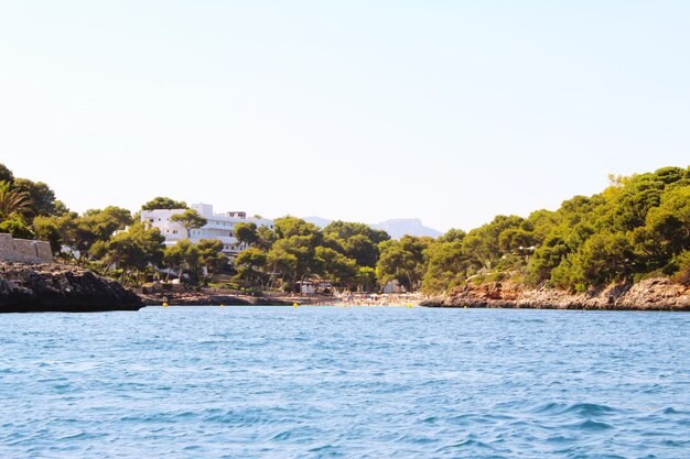 Scenic view of sea against clear sky