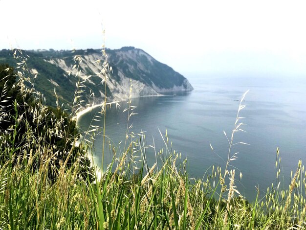 Photo scenic view of sea against clear sky