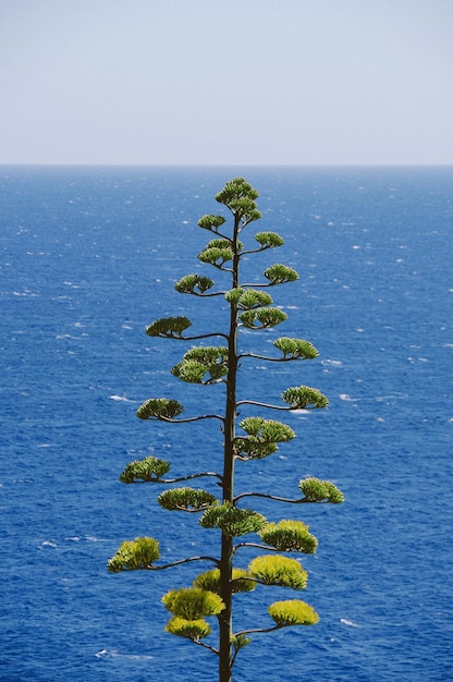 Photo scenic view of sea against clear sky