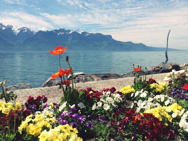 Scenic view of sea against cloudy sky