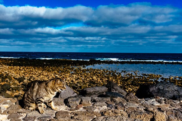 Photo scenic view of sea against cloudy sky