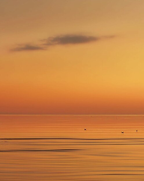 Foto vista panoramica del mare contro un cielo arancione