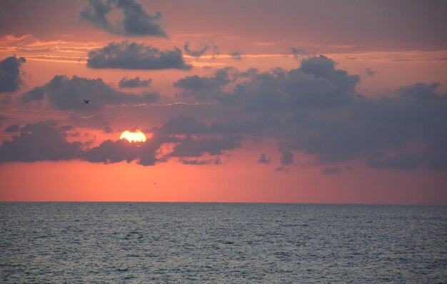 Photo scenic view of sea against orange sky