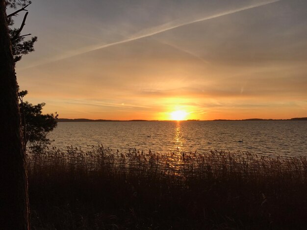 Scenic view of sea against orange sky