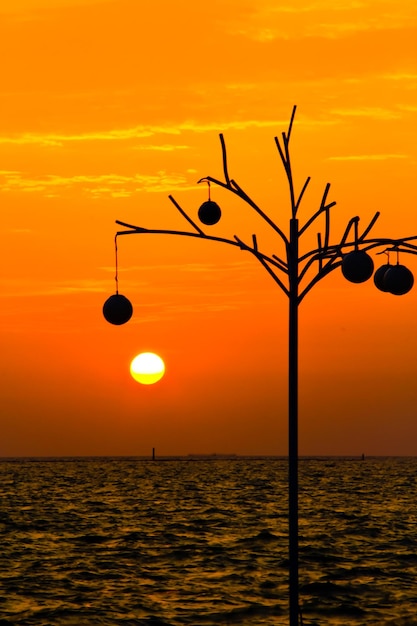 Scenic view of sea against orange sky