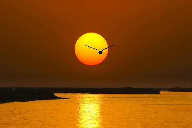 オレンジ色の空に照らされた海の景色