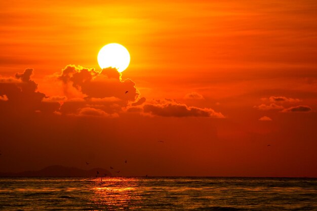 Scenic view of sea against orange sky