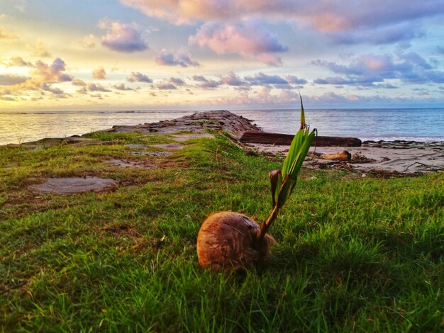 Foto vista panoramica del mare contro il cielo durante il tramonto