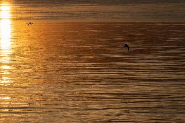 Photo scenic view of sea against sky during sunset