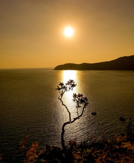 Photo scenic view of sea against sky during sunset