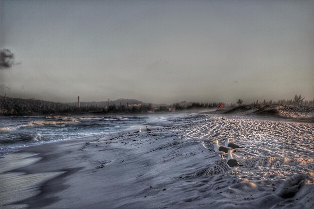 Scenic view of sea against sky during winter