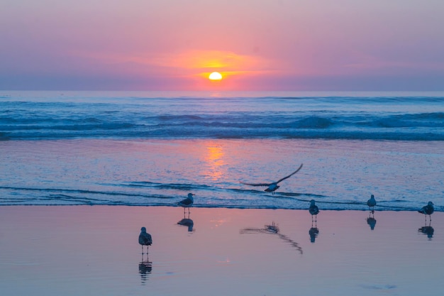 Scenic view of sea against sky at sunset