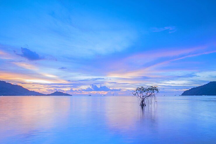 Photo 夕陽時海與天空的風景