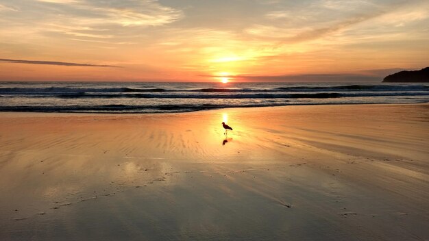 Scenic view of sea against sky at sunset