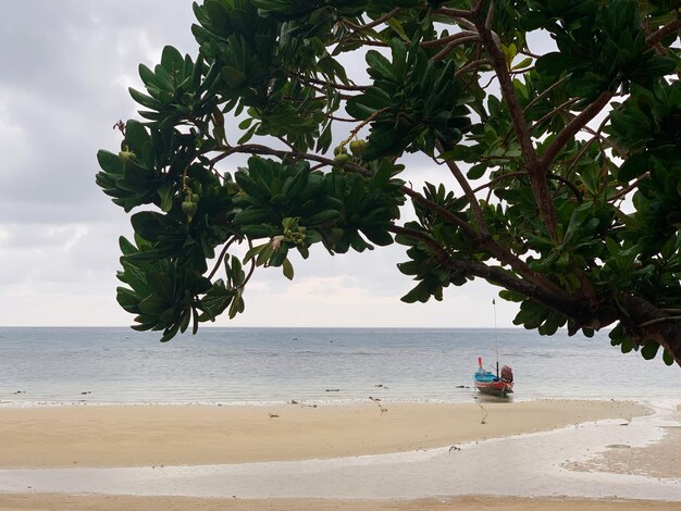 Photo scenic view of sea against sky