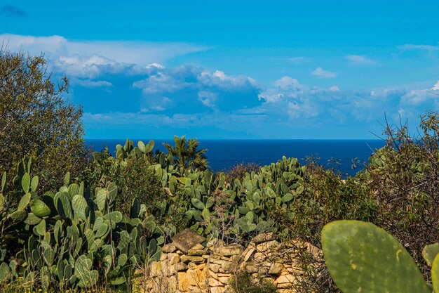 Foto vista panoramica del mare contro il cielo