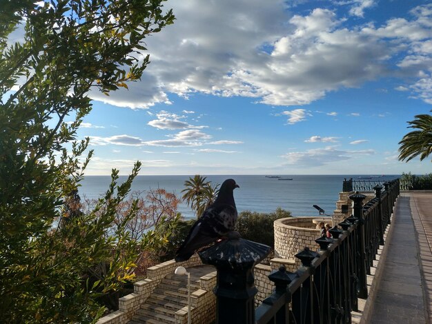 空に照らされた海の景色