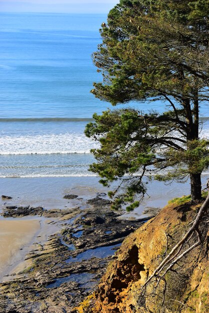 Photo scenic view of sea against sky