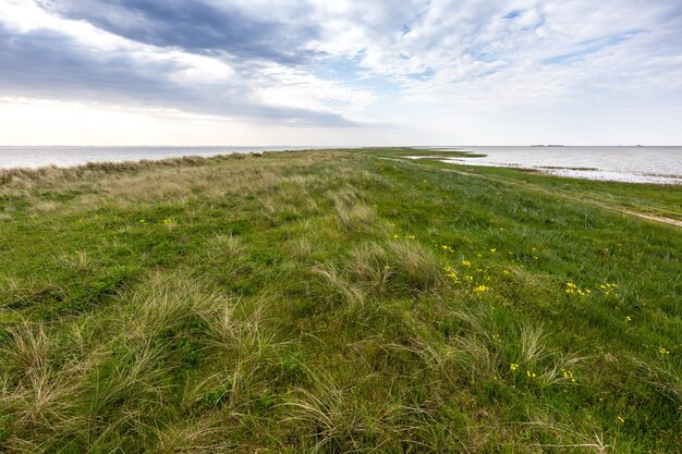 Photo scenic view of sea against sky