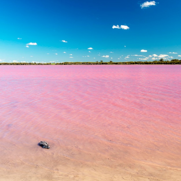 Красивый вид на море на фоне неба