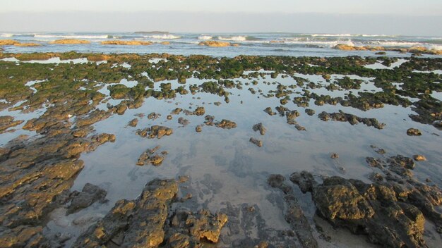 Photo scenic view of sea against sky