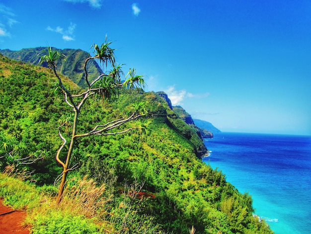 Photo scenic view of sea against sky