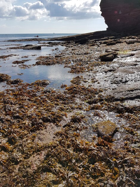 Photo scenic view of sea against sky