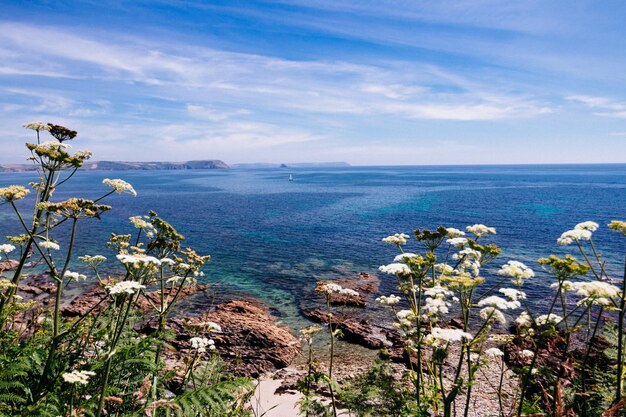 Foto vista panoramica del mare sul cielo