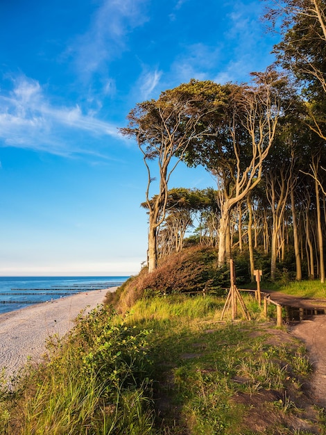 Photo scenic view of sea against sky