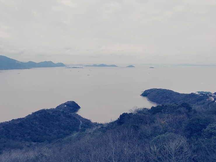 Photo 空に照らされた海の景色