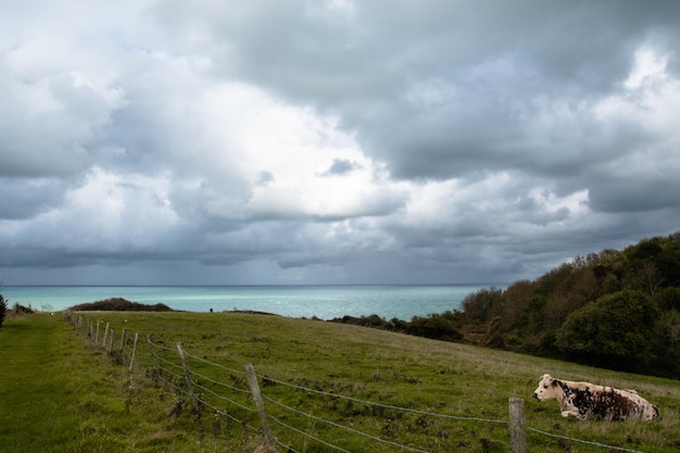 Photo scenic view of sea against sky