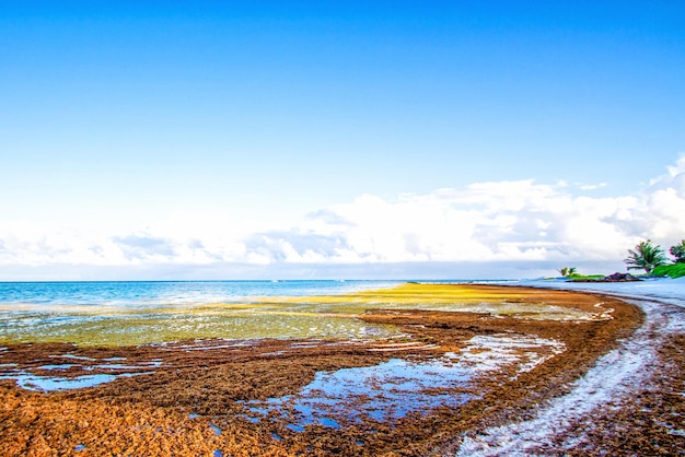 Photo scenic view of sea against sky