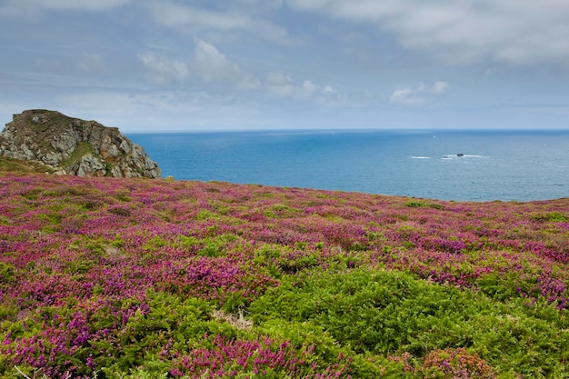 Photo scenic view of sea against sky