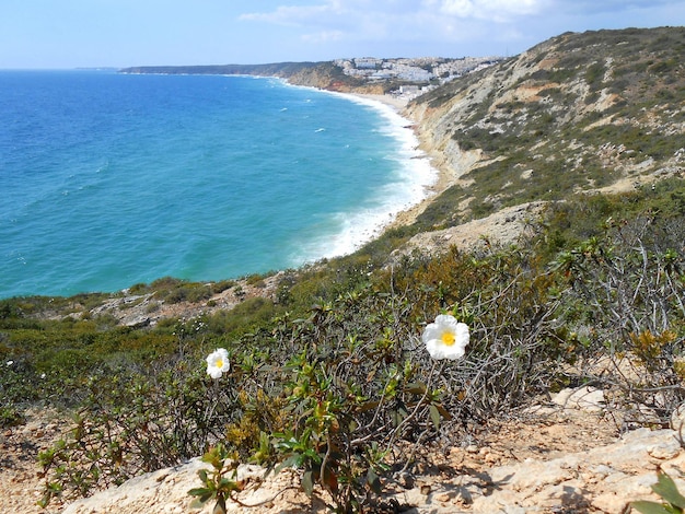 Photo scenic view of sea against sky