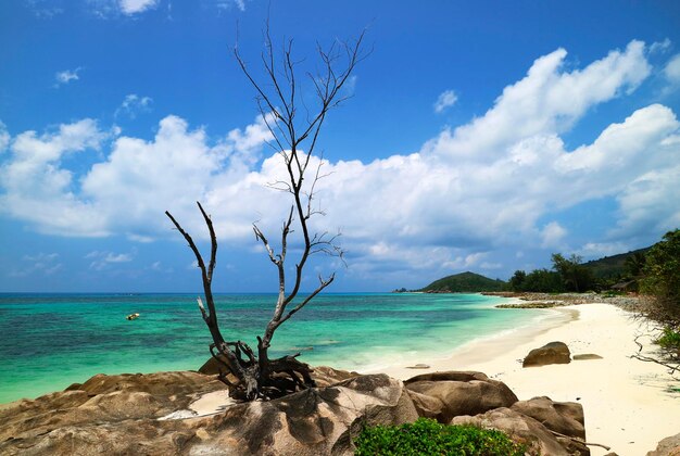 Photo scenic view of sea against sky