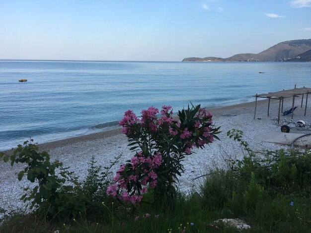 Foto vista panoramica del mare contro il cielo